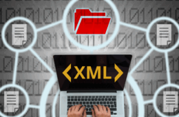 48 post Prazo para guardar XML SITE